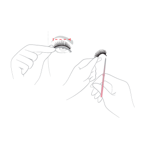How to apply lashes: Check the length by holding the lashes over your natural lashes.
